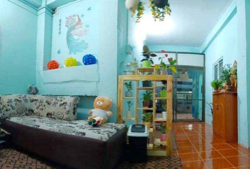 Gallery for Apartment For Sale In SaYeePin Street,Thingangyun Township.