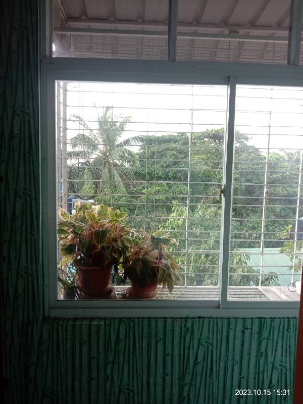 Gallery for (Home Loan)Apartment For Sale, Pathein Myae Lane,Dawbon Township.