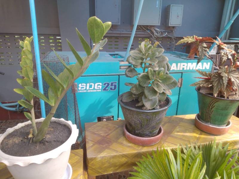 Gallery for House For Sale Than Lwin Street,Bahan Township.